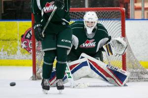 In the pipeline: A check-in on Silvertips prospects