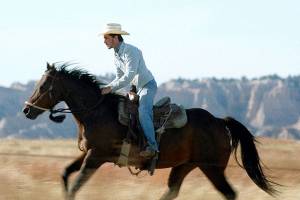 Horton’s 10 best enjoyable and 10 worst movies of 2018