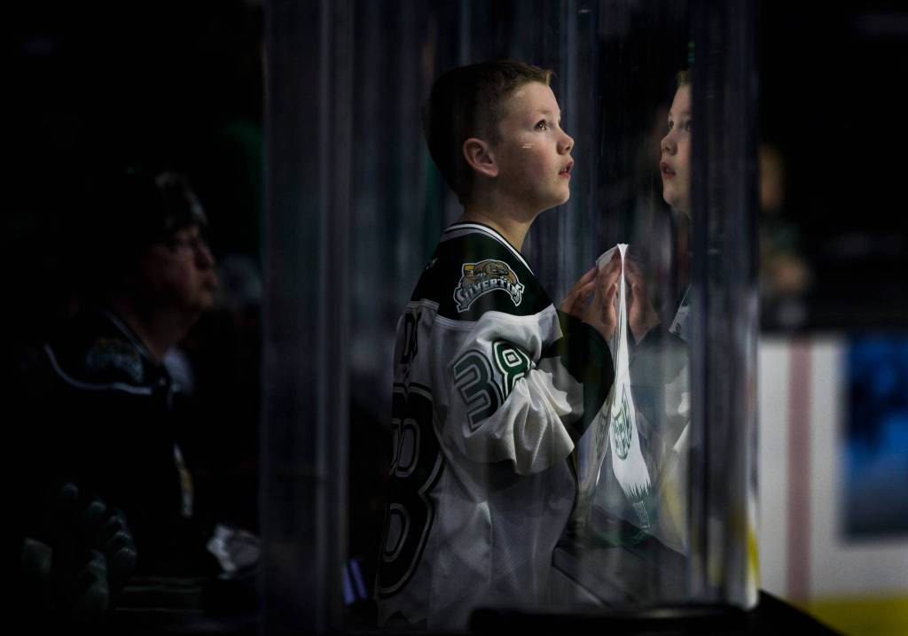 A young Silvertips fan looks up at the jumbotron before the game against the Spokane Chiefs on Sunday, Nov. 18, in Everett. (Olivia Vanni / The Herald)