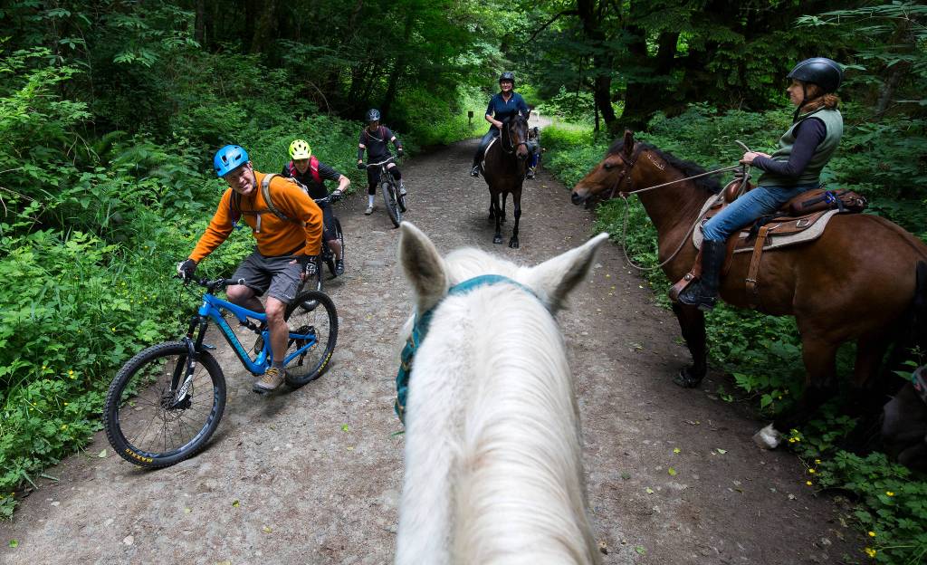 Mountain bike riders Mike McGuire, left, Keith Goodnight and Frank Rentko ride by horse riders Janet Berko and Catherine Collins, right, on a trail at Lord Hill Park on Saturday, June 16, in Snohomish. (Andy Bronson / The Herald)