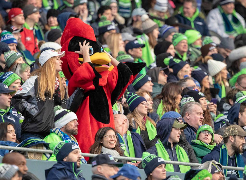 A fan dressed as a cardinal reacts as the Seattle Seahawks take the lead against Arizona during the Seahawks 27-24 win Sunday at CenturyLink Field in Seattle. (TJ Mullinax / The Herald)