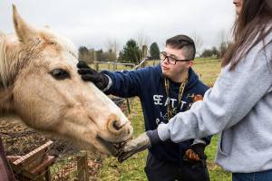 Adults with disabilities learn job skills on the farm