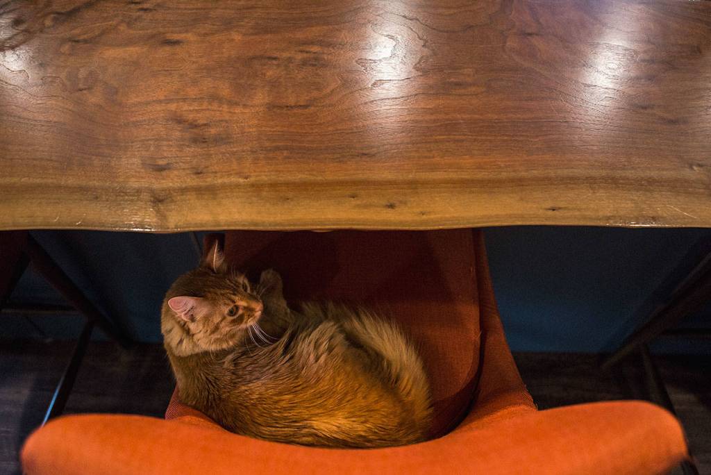 A full-length black walnut bar with a live edge is a centerpiece of the kitchen area. (Olivia Vanni / The Herald)
