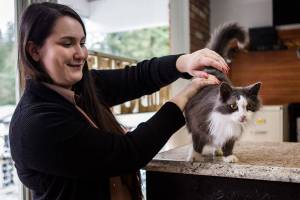 Cat cafe seeks new spot to serve up the company of felines