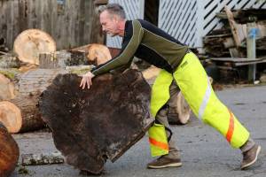 Giving away firewood put these guys in the global spotlight