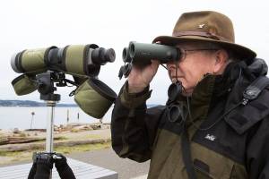 Is it climate change? New birds are here, others disappeared