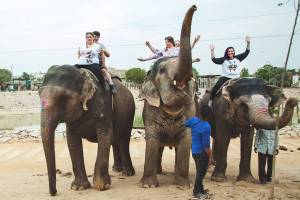 Experience India with an insider