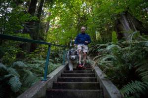 Doug Beyerlein with his dog, Tuolumne, descend a stairway at Forest Park in Everett. (Olivia Vanni / The Herald)