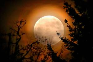 ‘Super blood wolf moon’ coming Sunday night to a sky near you