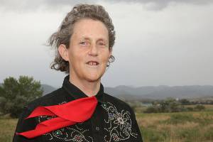 Temple Grandin knows a thing or two about handling animals