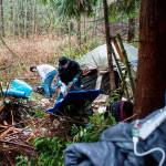 Michael Jensen (left) and Nathan Jensen pick up trash in their encampment near Silver Lake in Everett on Wednesday. They are being forced to clear out by citys Parks Department. (Olivia Vanni / The Herald)