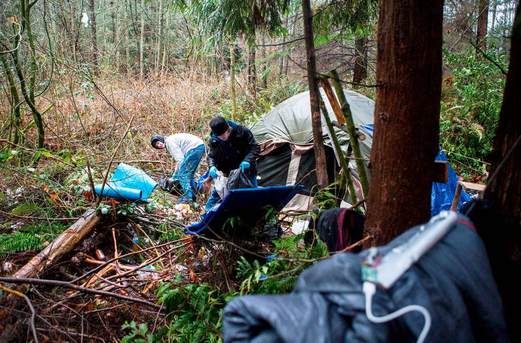 Michael Jensen (left) and Nathan Jensen pick up trash in their encampment near Silver Lake in Everett on Wednesday. They are being forced to clear out by citys Parks Department. (Olivia Vanni / The Herald)