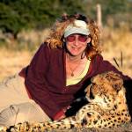 Naturalist Sy Montgomery, shown here with a cheetah in Namibia, is the featured author for the Everett Public Librarys 2019 Everett Reads! program. She will offer two free events, including one for children, scheduled for Feb. 9 and Feb. 10. (Photo by Nic Bishop)