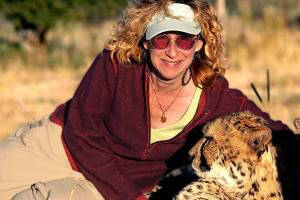 Naturalist Sy Montgomery, shown here with a cheetah in Namibia, is the featured author for the Everett Public Librarys 2019 Everett Reads! program. She will offer two free events, including one for children, scheduled for Feb. 9 and Feb. 10. (Photo by Nic Bishop)