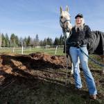 With her horse, Joe, next to her, Melonie Rainey, of White Birch Farm on the Tulalip Indian Reservation, talks Monday about her participation in the Conservation Districts horse manure spreading program. The program helps horse owners keep manure under control, turn it into fertilizer and use it on their pastures. (Andy Bronson / The Herald)