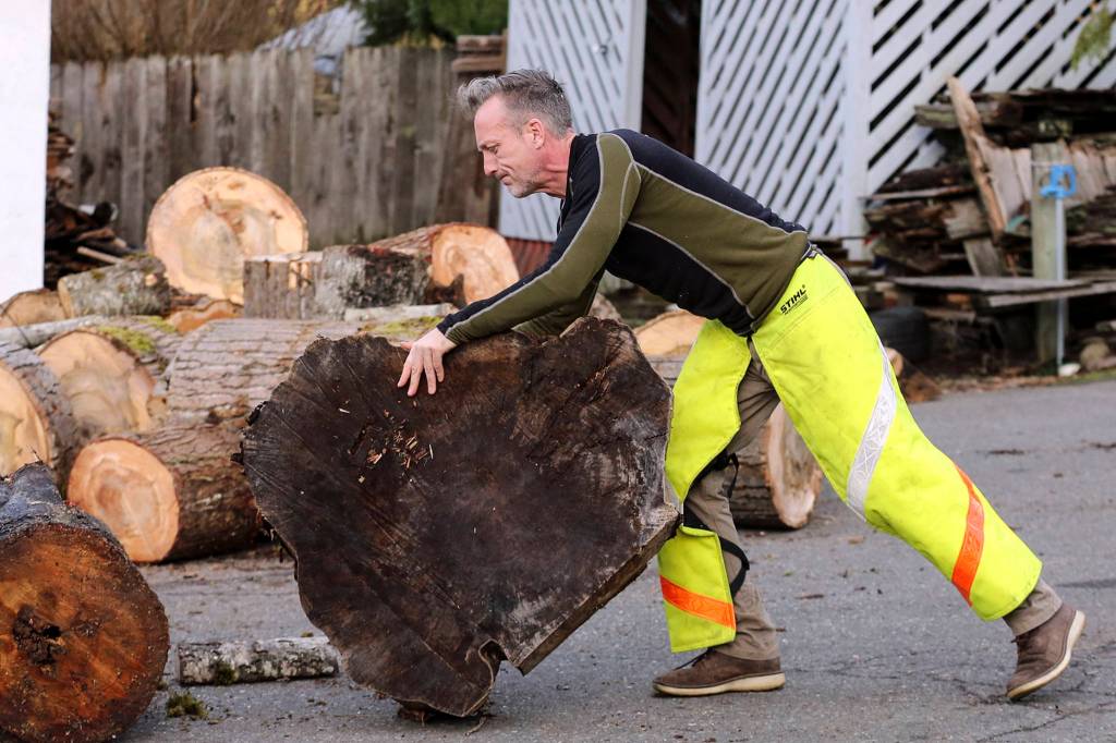 <a href="https://www.heraldnet.com/news/giving-away-firewood-put-these-guys-in-the-global-spotlight/" target="_blank">Shane McDaniel</a> relocates wood at his home in Lake Stevens on Jan. 12. (Kevin Clark / The Herald)
