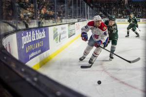 Everetts Sean Richards (right) and Spokanes Egor Arbuzov skate after the puck during a Nov. 18 game at Angel of the Winds Arena. (Olivia Vanni / The Herald)
