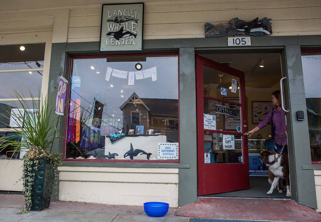 Dogs are welcome at the Langley Whale Center. (Olivia Vanni / The Herald)