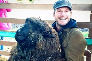 Chris Pratt won an award, and it wasn’t for acting