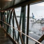 The view from one of the jet bridges at the new terminal at Paine Field in Everett. (Kevin Clark / The Herald)