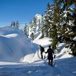 Don Sarver, left, and Kyle James, right, snowshoe on the Skyline Lake Trail on Saturday, Jan. 26, 2019 in Leavenworth, Wa. (Olivia Vanni / The Herald)