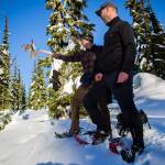 Kyle James, left, holds his hand out for a Canada jay while Don Sarver, right, looks on. (Olivia Vanni / The Herald)