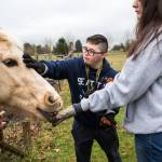 Tyler Thornton, 22, (center) and Regan Harris, 23, (right) feed Sky a carrot at the Adcock family farm on Jan. 24 in Arlington. They participate in the <a href="https://www.heraldnet.com/news/adults-with-disabilities-learn-job-skills-on-the-farm/" target="_blank">Marysville-Tulalip Integrated Learning Center</a> program. (Olivia Vanni / The Herald)