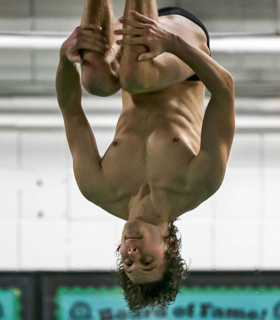 Marysville Plichucks Leif Anderson, senior, competes in the diving competition at Marysville Pilchuck High School on Jan. 10. Anderson finished 12th in the 3A state meet last season. (Kevin Clark / The Herald)