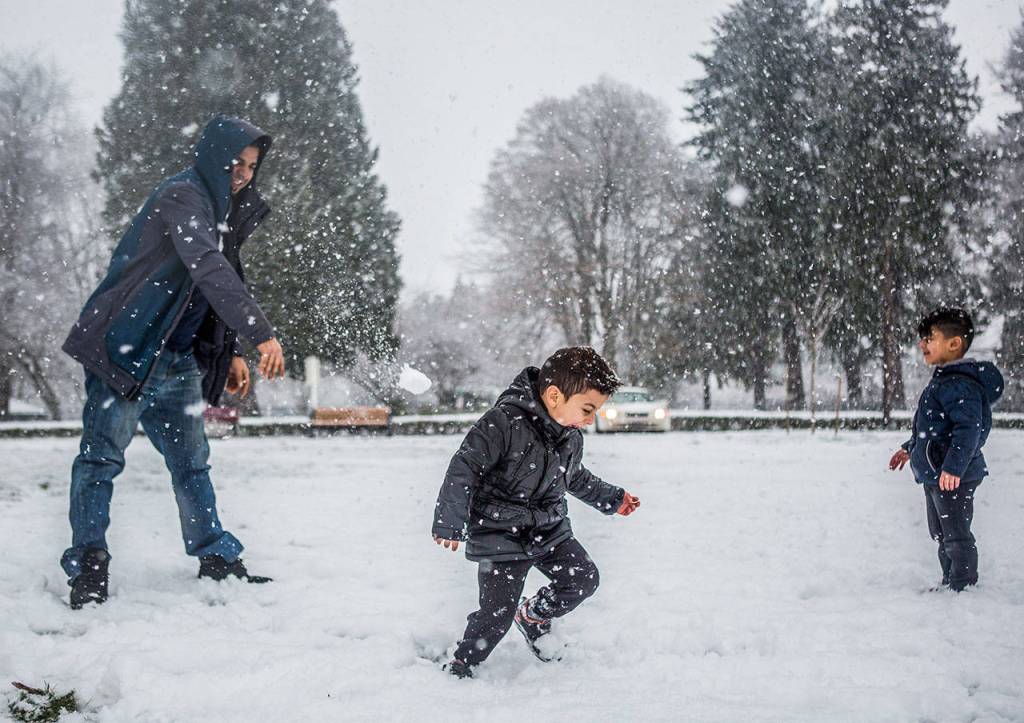 Laith Al Sheblawy, 3 (center), yells as his father, Sadek Al Sheblawy (left), throws a snowball at him at Legion Memorial Park on Friday in Everett. (Olivia Vanni / The Herald)