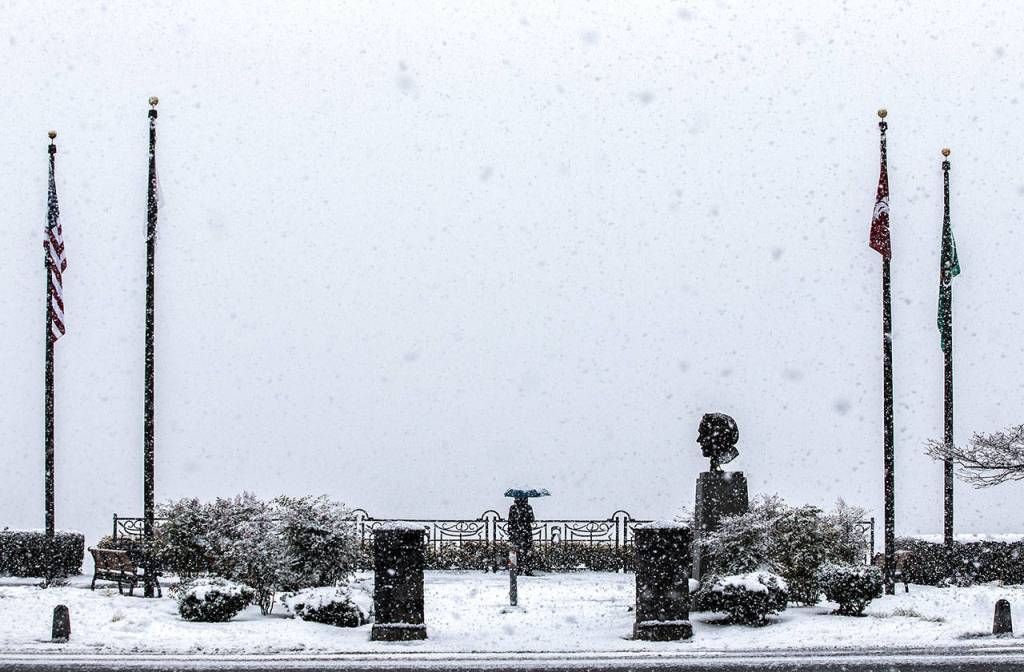 Cheryl Meier stands under her umbrella enjoying the snow at Grand Avenue Park on Friday in Everett. (Olivia Vanni / The Herald)