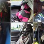 Lawmakers want carpool lane cheaters to pay a higher penalty