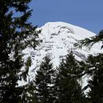 Mount Rainier is seen through the trees at Mount Rainier National Park, Jan. 28. Rainier and the nations other national parks and public lands have long relied on a funding program, the Land and Water Conservation Fund, which Congress is preparing to renew as part of a package of related legislation. (Ted S. Warren/Associated Press)