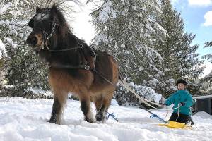 Snow Days: Our readers share their best snowy play-day photos