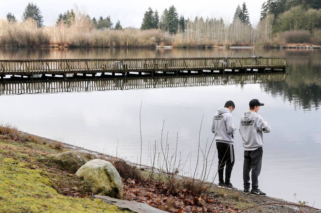 Mikael Jacinto (left) and Garrett Oliphant gather samples from Blackmans Lake for testing at Hill Park in Snohomish on Feb. 2. (Kevin Clark / The Herald)