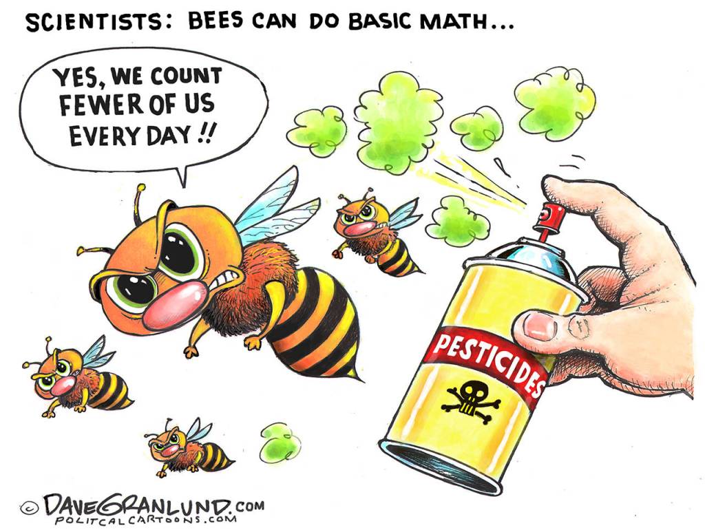 Editorial cartoons for Tuesday, Feb. 12