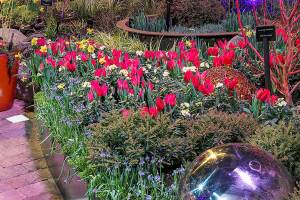 This annual garden event proclaims ‘Welcome to Spring’