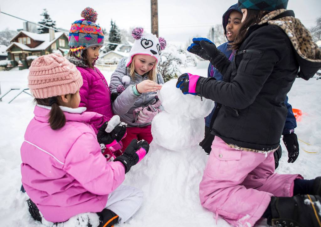 From left, Alexa Urbanozo, 6, Evie Larama, 6, Reese Emerson, 9, Tegan Larama, 9, and Ava Urbanize, 9, work on a snowman on Feb. 9 in Everett. (Olivia Vanni / The Herald)