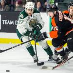 Silvertips Jalen Price fights for the puck during the game against the Medicine Hat Tigers on Feb. 8 in Everett. (Olivia Vanni / The Herald)