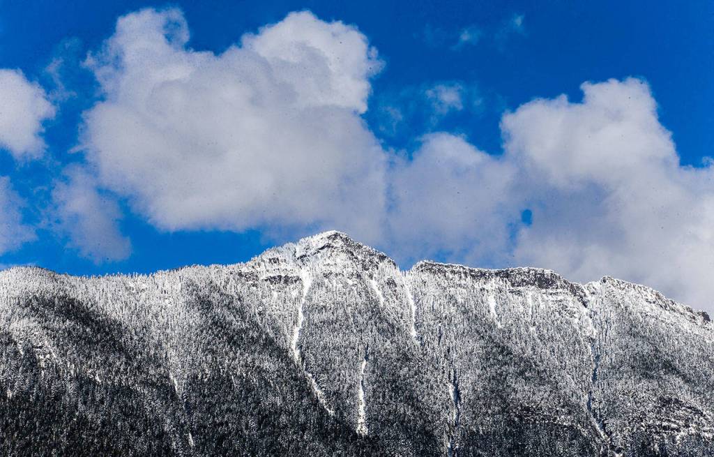 Mountains are covered in fresh snow along Highway 530 on the way to Darrington on Thursday. (Olivia Vanni / The Herald)