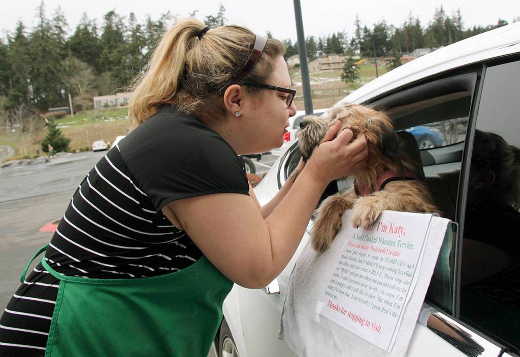 Erin Hendrick, Starbucks manager, stops by to say hello to Katy. (Maria Matson / Whidbey News-Times)