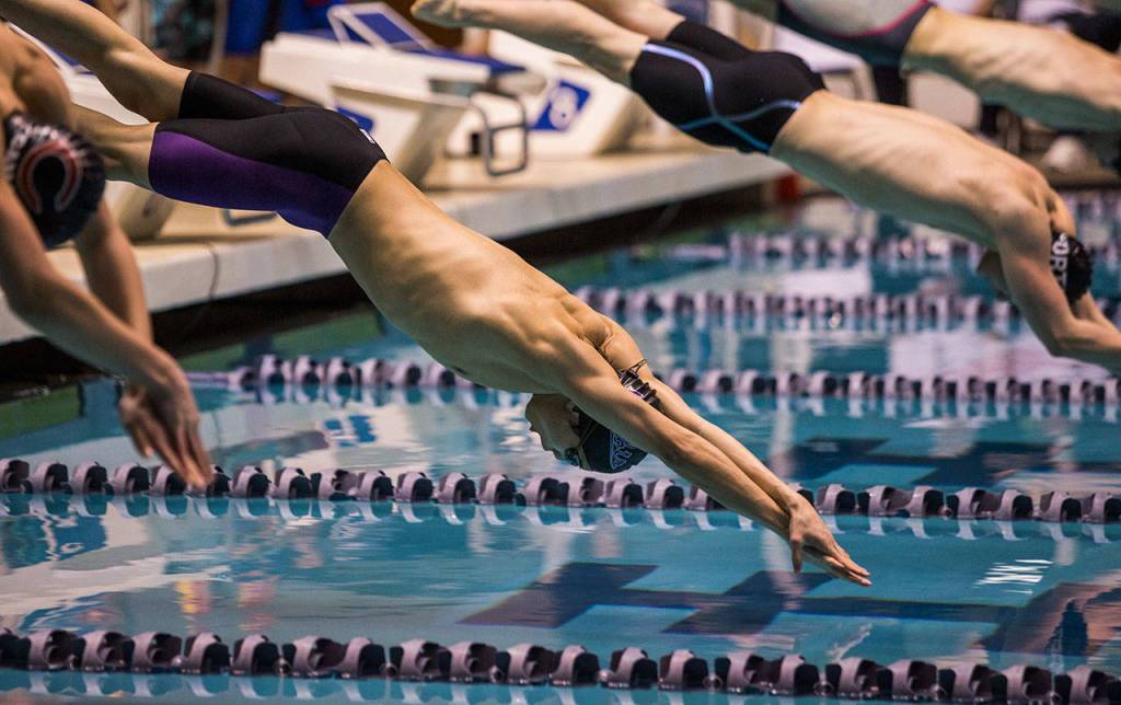 Kamiaks Maxwell Fang dives off the block during the 200 Yard Freestyle Relay during the 4A Boys Swim/Dive Championships on Saturday, Feb. 16, 2019 in Federal Way, Wash. (Olivia Vanni / The Herald)