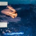 Issaquahs Robert Gref warms up before the Mens 1 Meter Diving during the 4A Boys Swim/Dive Championships on Saturday, Feb. 16, 2019 in Federal Way, Wash. (Olivia Vanni / The Herald)