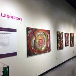 Play with Material: Laboratory at Edmonds Community Colleges art gallery features more than a dozen wood and paper mosaics and garden hose sculptures by Naoko Morisawa.