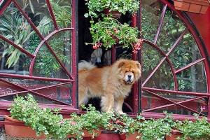 Lyon, France’s culinary capital, is off the tourist path