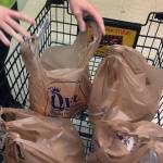 No more plastic bags in Snohomish after the holidays
