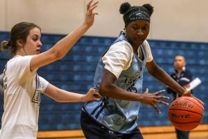 Cinderella Mavs: Meadowdale girls embrace the underdog role