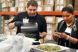 Editorial: Minor violations shouldn’t close cannabis growers
