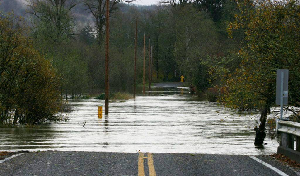 Wenzel Slough Road at Vance Creek in southwest Washington was made impassible on Nov. 18, 2015, due to flood waters. (Corey Morris / The Vidette, file)