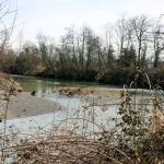 A body was found on the banks of the Stillaguamish River in Arlington in 1980. Its a cold case. (Kevin Clark / The Herald)