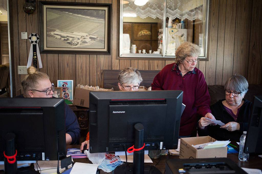 Darlene Strotz answers a question from Sandee Scribner )right). Volunteers Mary Manning and Sunny Moyer (left) enter data for the Silvana Fair Board Auction. (Andy Bronson / The Herald)